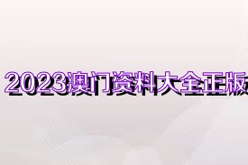 2023澳門正版資料,專業(yè)解析說明_升級版63.803