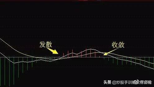 2024新奧資料免費精準175,實際指標_合神CBD704.22