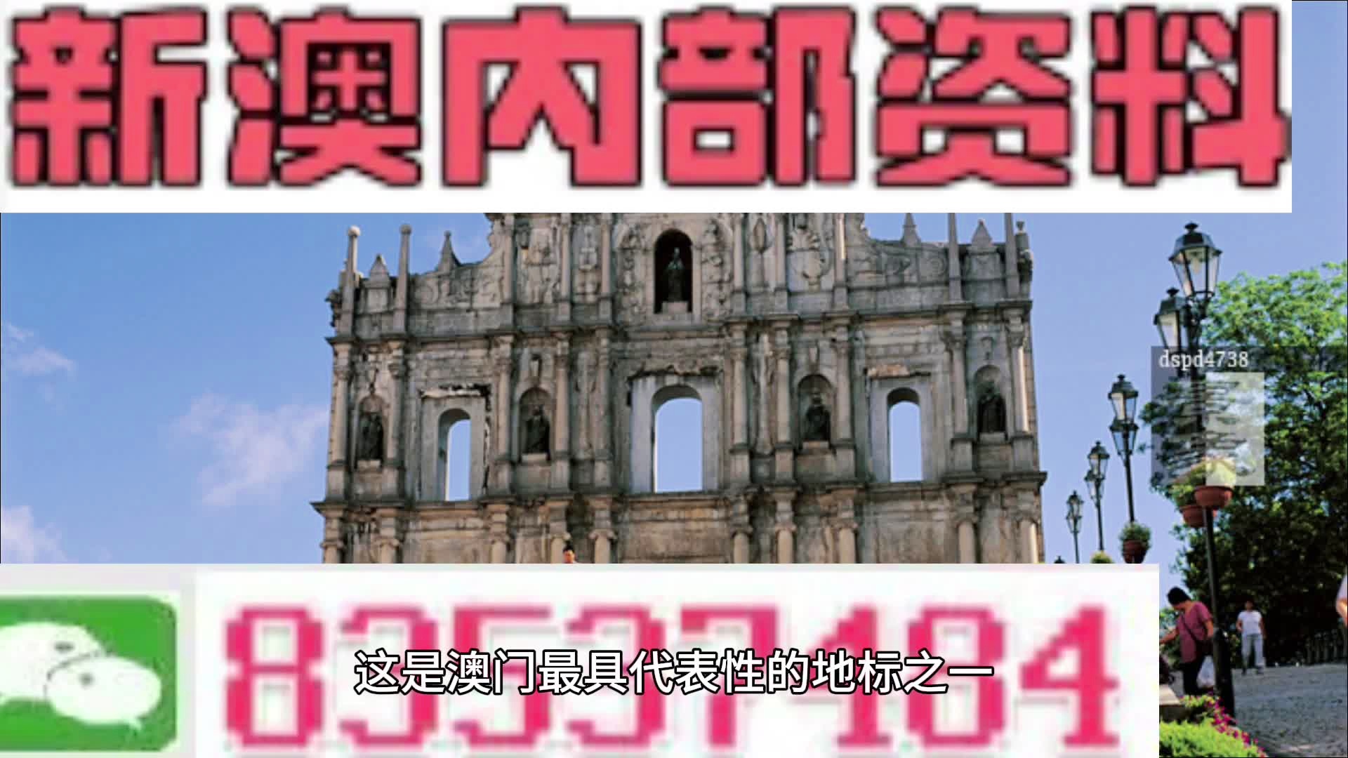 新澳精準(zhǔn)資料免費(fèi)提供生肖版,綜合數(shù)據(jù)說(shuō)明_主率JUA423.57