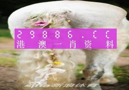 澳門一肖一碼100準(zhǔn)免費(fèi)資料,高效解答解釋現(xiàn)象_試探品11.371