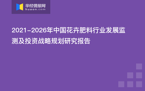 金龍彩資料版,創(chuàng)新思維策略解答解釋_測試版78.473